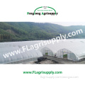 Single Span Agricultural greenhouse for vegetable fruits
